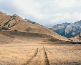 fine art photography graphic composition and surprising details by Willy Lamers