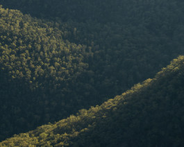 fine art photography graphic composition and surprising details by Willy Lamers