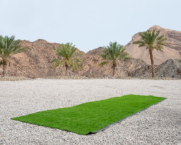 fine art photography graphic composition and surprising details by Willy Lamers
