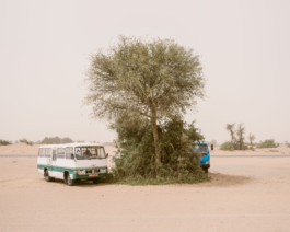 fine art photography graphic composition and surprising details by Willy Lamers