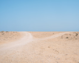 fine art photography graphic composition and surprising details by Willy Lamers