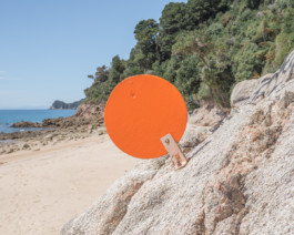 fine art photography graphic composition and surprising details by Willy Lamers