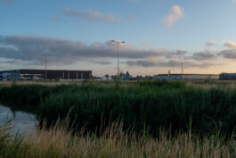  fine art photography graphic composition and surprising details by Willy Lamers