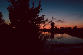 fine art photography graphic composition and surprising details by Willy Lamers