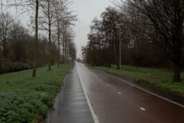 fine art photography graphic composition and surprising details by Willy Lamers