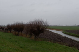 fine art photography graphic composition and surprising details by Willy Lamers