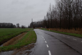 fine art photography graphic composition and surprising details by Willy Lamers