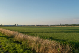 fine art photography graphic composition and surprising details by Willy Lamers