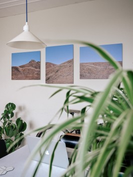 fine art photography graphic composition and surprising details by Willy Lamers