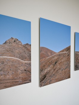 fine art photography graphic composition and surprising details by Willy Lamers