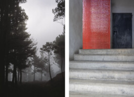 fine art photography graphic composition and surprising details by Willy Lamers