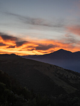 fine art photography graphic composition and surprising details by Willy Lamers